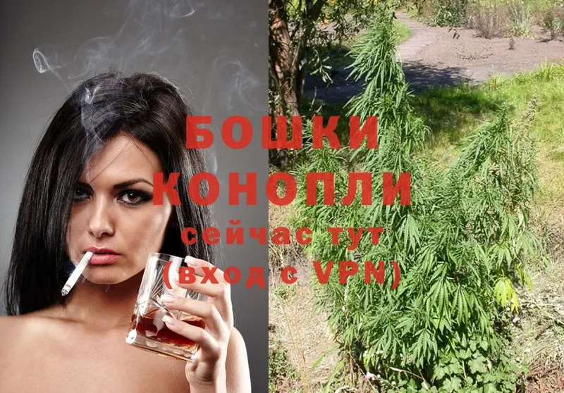 Конопля LSD WEED  купить наркотики сайты  Новая Ляля 